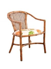Cadeira Apolo Rattan