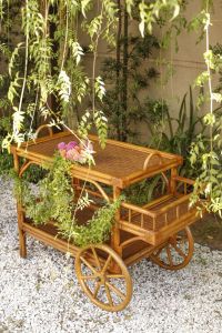 Carrinho de Chá Buriti